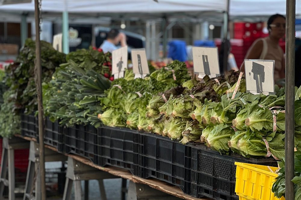 Leafy greens and root vegetables laid out in crates on a farmers market stand